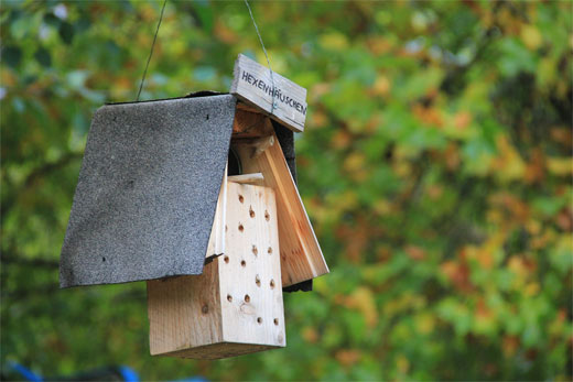 Vogelhaus im Prinzessinnengarten
